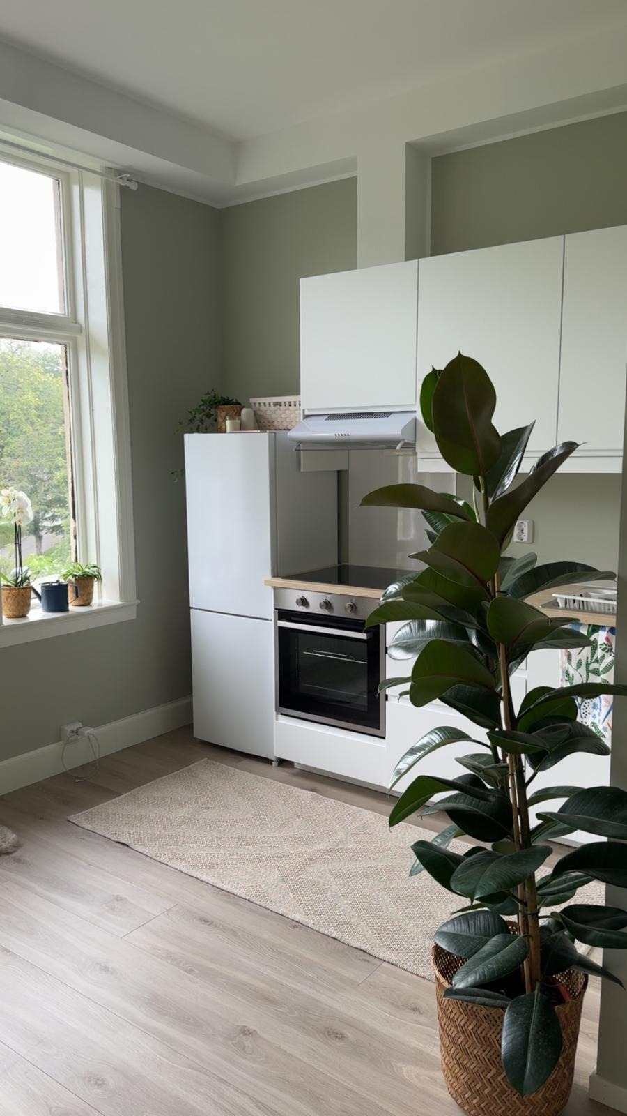 Studio apt